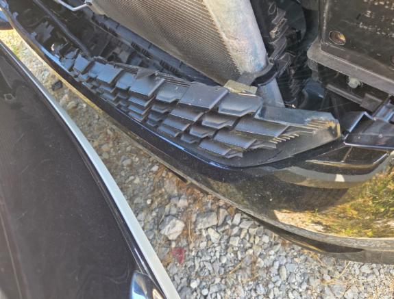 21229/20260630-090212-medium.jpg
